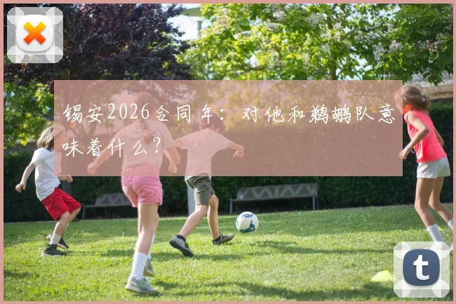 锡安2026合同年：对他和鹈鹕队意味着什么？